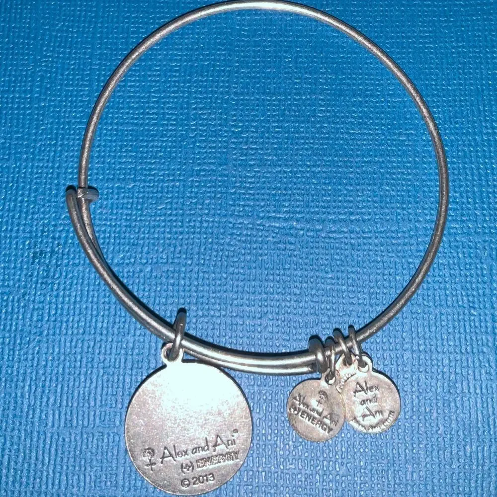 ALEX & ANI 